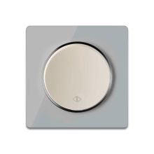 Wechselschalter einfach beige mit Glas-Abdeckrahmen grau