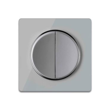 Serienschalter 2fach grau mit Glas-Abdeckrahmen grau