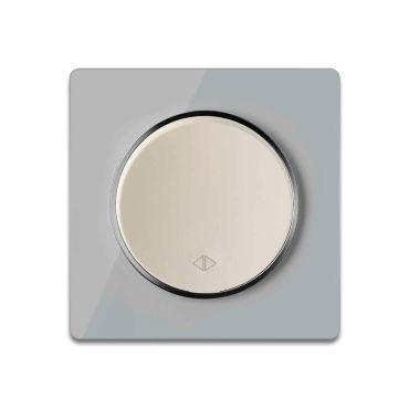 Wechselschalter einfach beige mit Glas-Abdeckrahmen grau