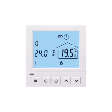 Thermostat TS50 digital