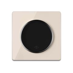 Wechselschalter einfach schwarz mit Glas-Abdeckrahmen beige
