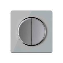 Serienschalter 2fach grau mit Glas-Abdeckrahmen grau
