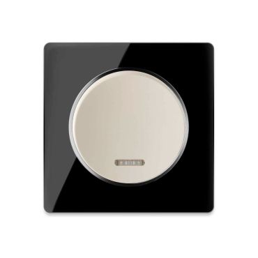 Kontrollschalter 1fach beige mit Glas-Abdeckrahmen schwarz